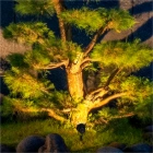 img-product@picture.AlternateText