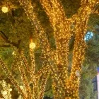 img-product@picture.AlternateText