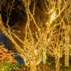 img-product@picture.AlternateText