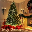 img-product@picture.AlternateText