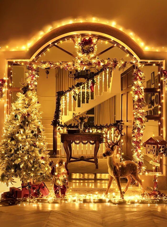 Picture of 50Meter  LED String Fairy Lights, 8 Modes-320 LEDs,