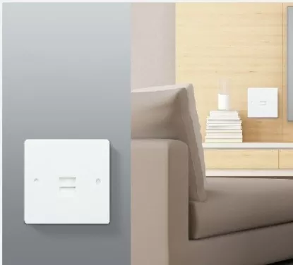 Picture of 1 Gang Telephone Socket (Secondary)