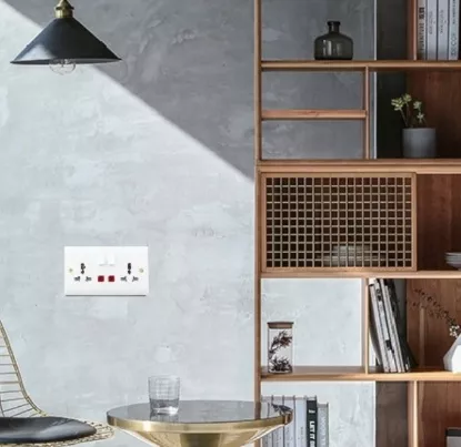 Picture of Double Universal Socket with Switch + Neon