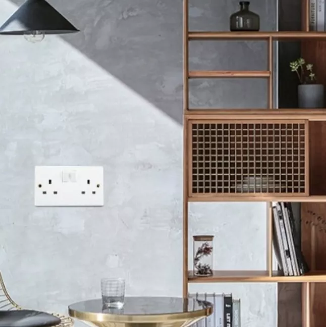 Picture of Double Switched Socket Single Pole