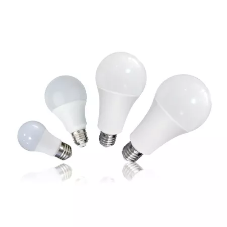 Picture for category Bulb Series