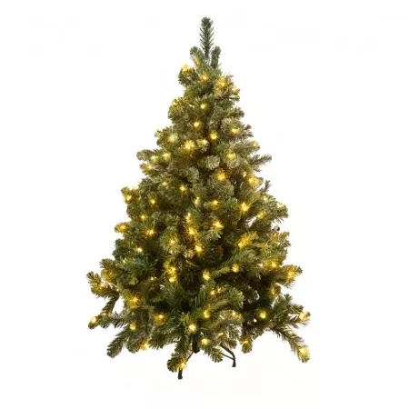 Picture for category Festival Products