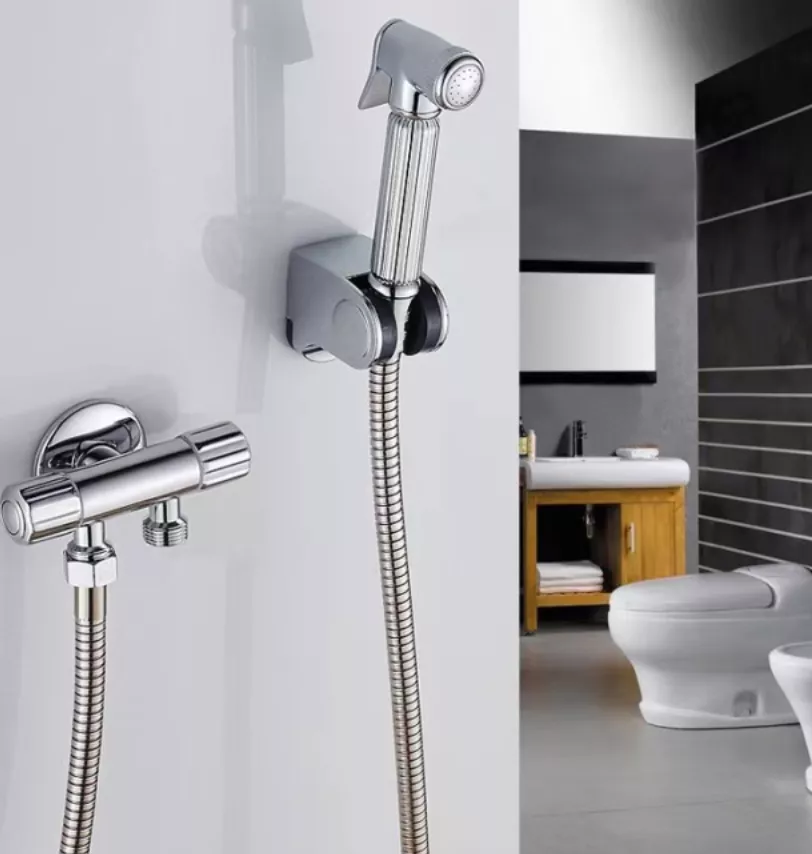 Picture of Stainless Steel Handheld Bidet Spray Set