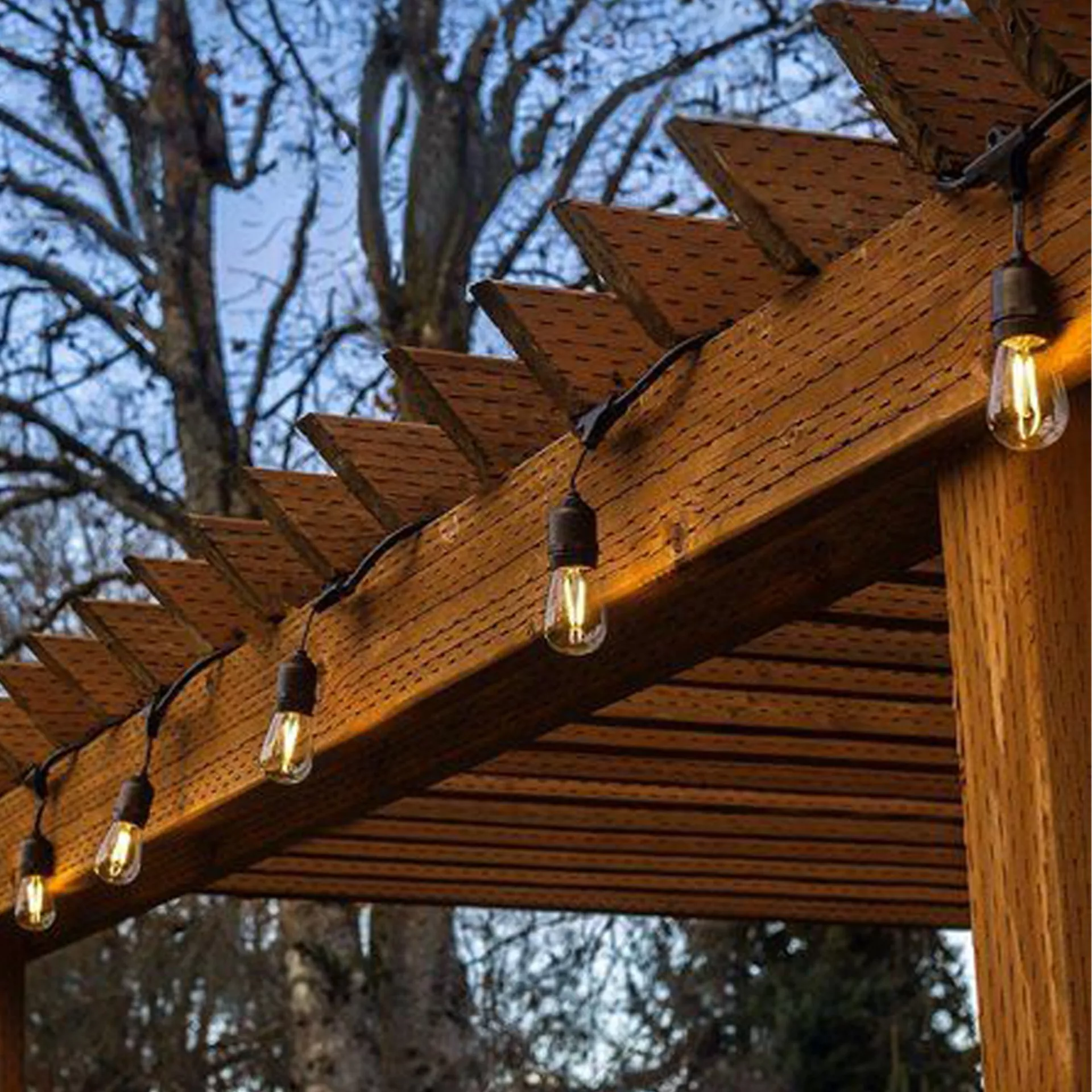Outdoor wooden pergola decorated with warm hanging Edison string lights during the evening.