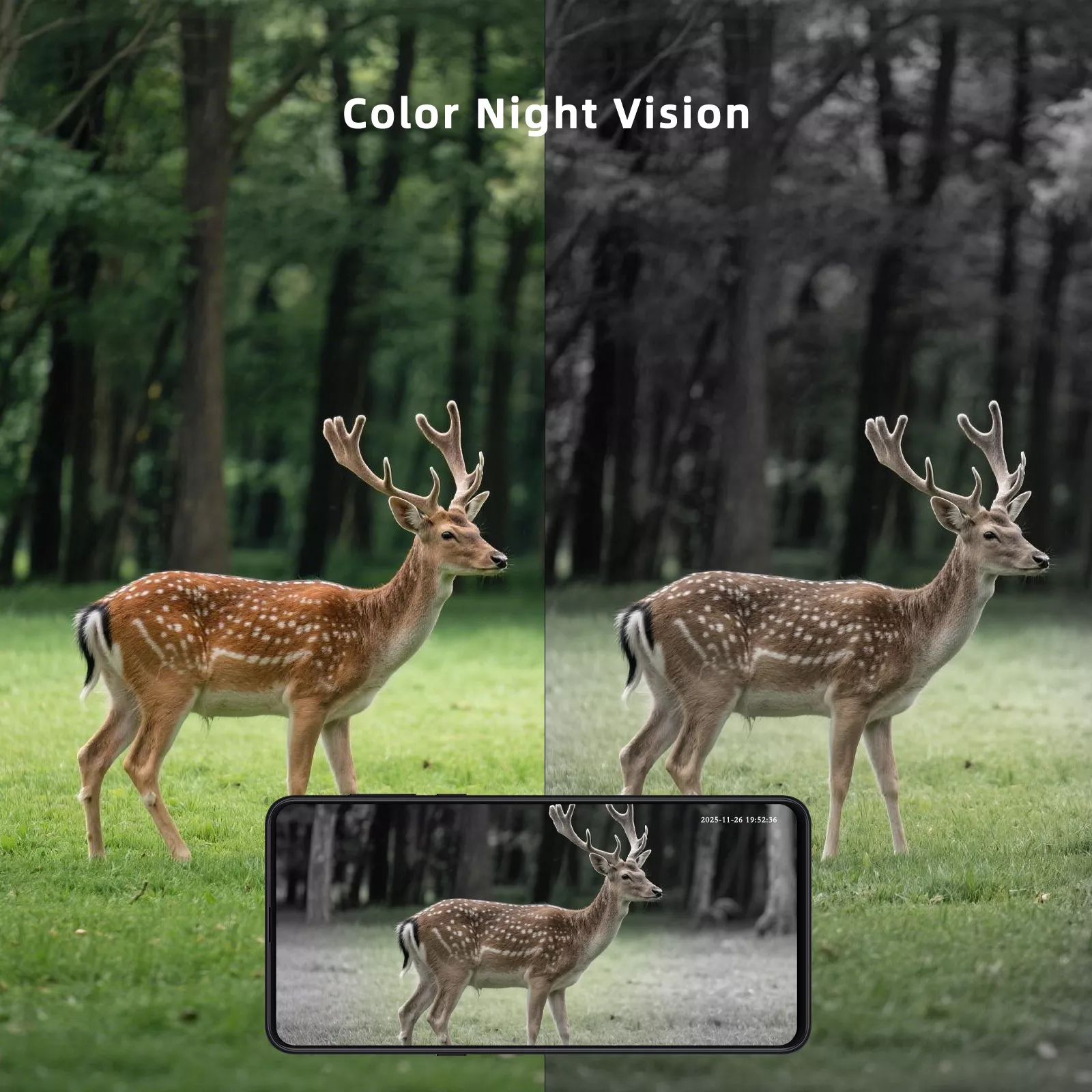 Color night vision comparison on 4G solar security camera