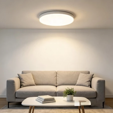 Picture for category LED Ceiling Light