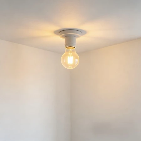 Picture for category LED Bulbs
