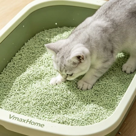 Picture for category Cat Litter